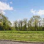 Box Tree - Uk47034 * Kirkby Lonsdale