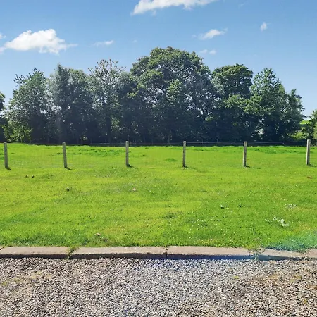 Dom wakacyjny Box Tree - Uk47034