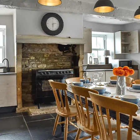 Box Tree - Uk47034 * Kirkby Lonsdale