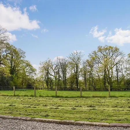 Box Tree - Uk47034 * Kirkby Lonsdale