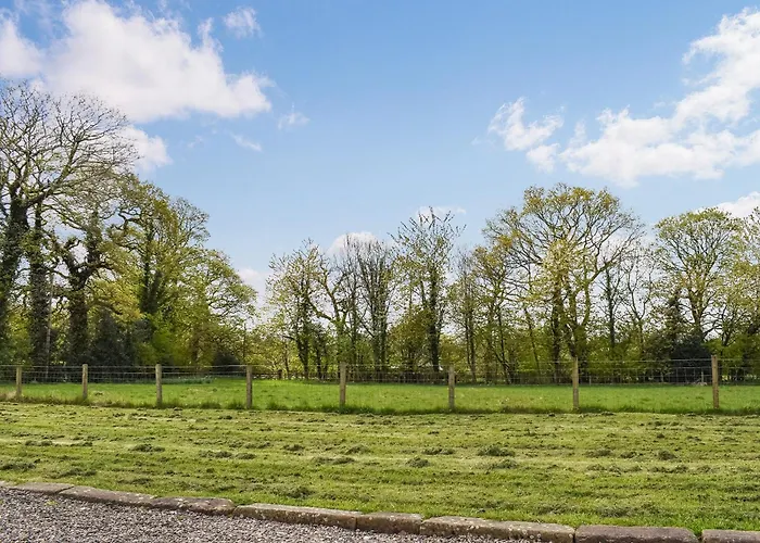 Box Tree - Uk47034 * Kirkby Lonsdale